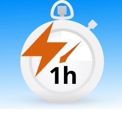 Servicio Express 1 hora servicios informáticos lexnet