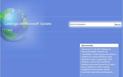 Imagen de la pagina del Catalogo de descargas de Microsoft